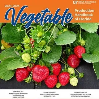 thumbnail for publication: Vegetable Production Handbook of Florida, 2023–2024 edition